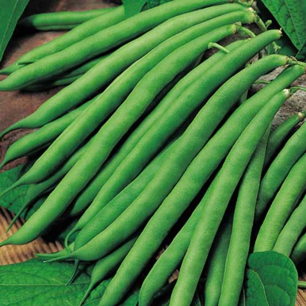 French beans : 250g